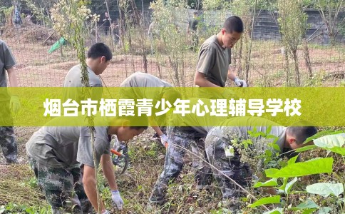 烟台市栖霞青少年心理辅导学校