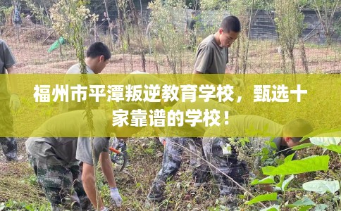 福州市平潭叛逆教育学校,甄选十家靠谱的学校! 福州市平潭叛逆教育学校,甄选十家靠谱的学校!