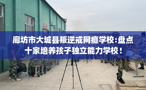 廊坊市大城县叛逆戒网瘾学校:盘点十家培养孩子独立能力学校！