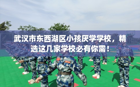 武汉市东西湖区小孩厌学学校，精选这几家学校必有你需！