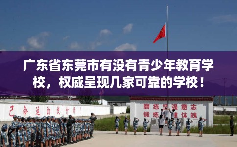 广东省东莞市有没有青少年教育学校，权威呈现几家可靠的学校！