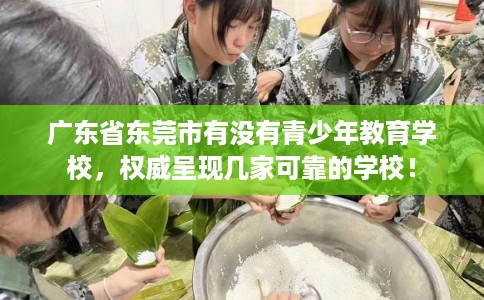 广东省东莞市有没有青少年教育学校，权威呈现几家可靠的学校！