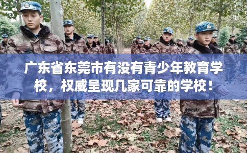 广东省东莞市有没有青少年教育学校，权威呈现几家可靠的学校！