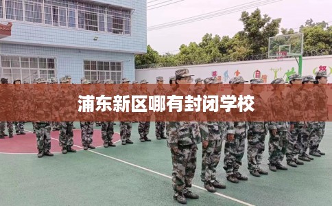 浦东新区哪有封闭学校