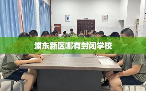 浦东新区哪有封闭学校