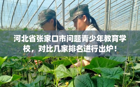 河北省张家口市问题青少年教育学校，对比几家排名进行出炉！