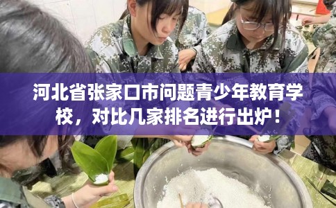 河北省张家口市问题青少年教育学校，对比几家排名进行出炉！