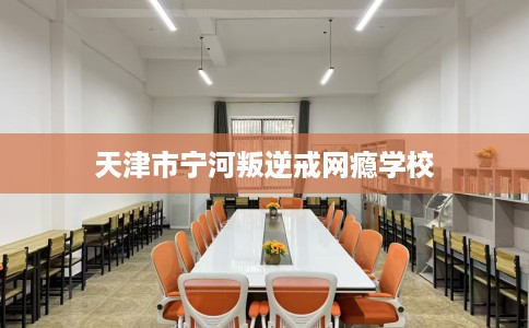 天津市宁河叛逆戒网瘾学校