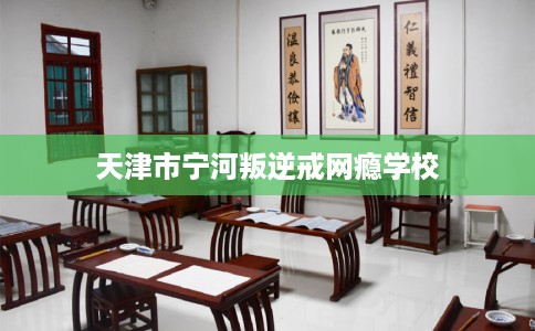 天津市宁河叛逆戒网瘾学校