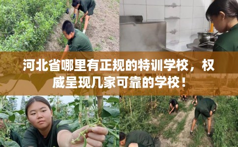 河北省哪里有正规的特训学校，权威呈现几家可靠的学校！