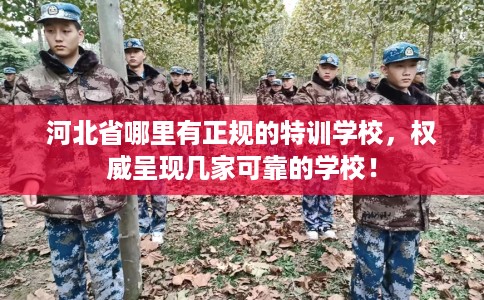 河北省哪里有正规的特训学校，权威呈现几家可靠的学校！