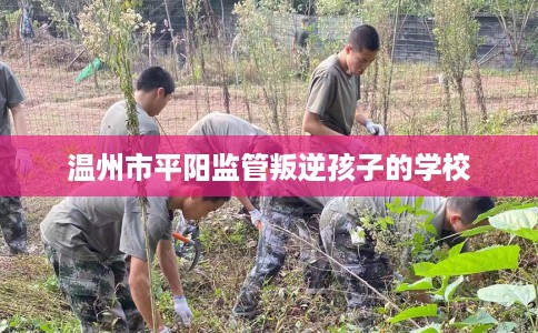 温州市平阳监管叛逆孩子的学校