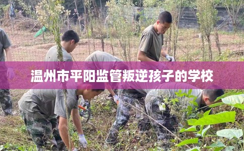 温州市平阳监管叛逆孩子的学校