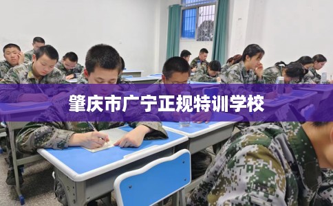 肇庆市广宁正规特训学校 肇庆市广宁正规特训学校