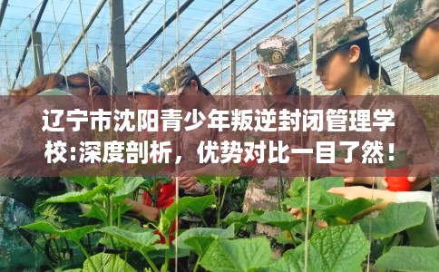 辽宁市沈阳青少年叛逆封闭管理学校:深度剖析,优势对比一目了然! 辽宁市沈阳青少年叛逆封闭管理学校:深度剖析,优势对比一目了然!