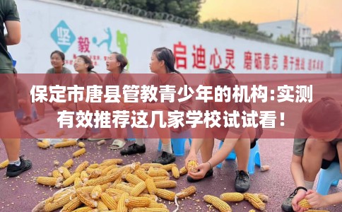 保定市唐县管教青少年的机构:实测有效推荐这几家学校试试看！