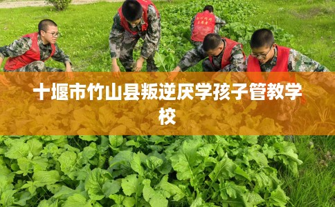 十堰市竹山县叛逆厌学孩子管教学校