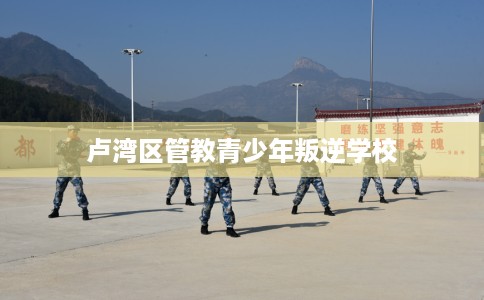 卢湾区管教青少年叛逆学校