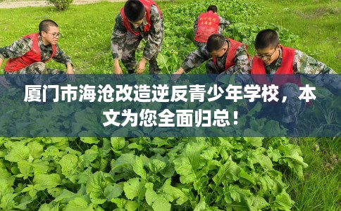 厦门市海沧改造逆反青少年学校，本文为您全面归总！