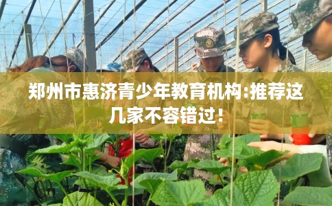 郑州市惠济青少年教育机构:推荐这几家不容错过！