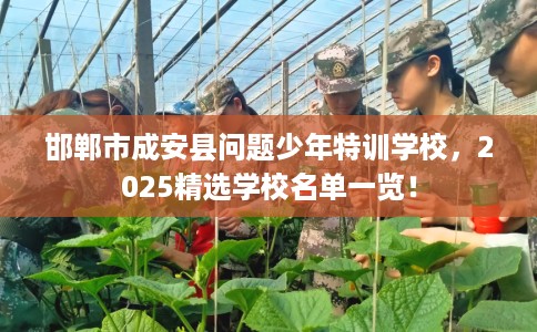 邯郸市成安县问题少年特训学校,2025精选学校名单一览! 邯郸市成安县问题少年特训学校,2025精选学校名单一览!