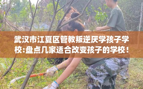 武汉市江夏区管教叛逆厌学孩子学校:盘点几家适合改变孩子的学校！