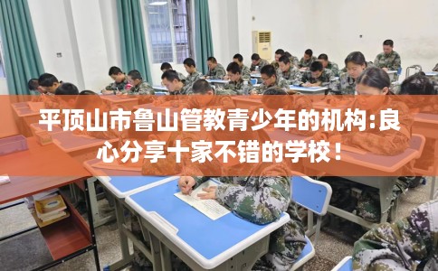 平顶山市鲁山管教青少年的机构:良心分享十家不错的学校！