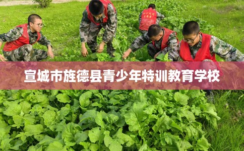 宣城市旌德县青少年特训教育学校