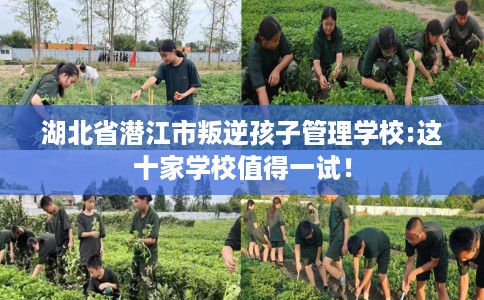 湖北省潜江市叛逆孩子管理学校:这十家学校值得一试！