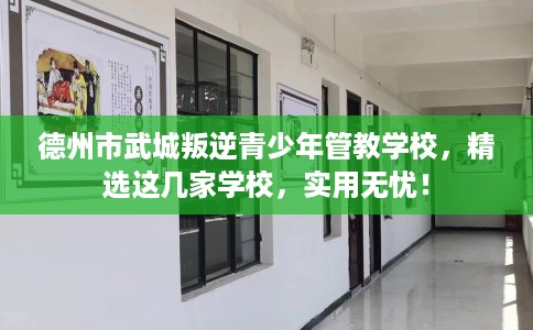 德州市武城叛逆青少年管教学校，精选这几家学校，实用无忧！