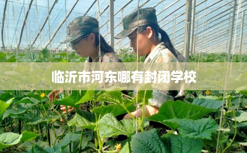 临沂市河东哪有封闭学校 临沂市河东哪有封闭学校