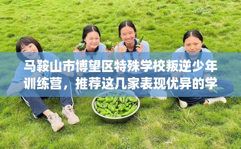 马鞍山市博望区特殊学校叛逆少年训练营，推荐这几家表现优异的学校！