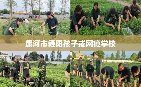 漯河市舞阳孩子戒网瘾学校
