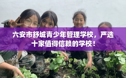 六安市舒城青少年管理学校，严选十家值得信赖的学校！