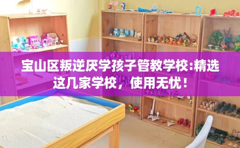 宝山区叛逆厌学孩子管教学校:精选这几家学校，使用无忧！