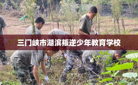 三门峡市湖滨叛逆少年教育学校 三门峡市湖滨叛逆少年教育学校