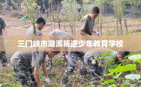 三门峡市湖滨叛逆少年教育学校 三门峡市湖滨叛逆少年教育学校