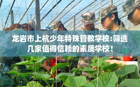龙岩市上杭少年特殊管教学校:筛选几家值得信赖的素质学校！