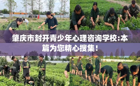 肇庆市封开青少年心理咨询学校:本篇为您精心搜集！