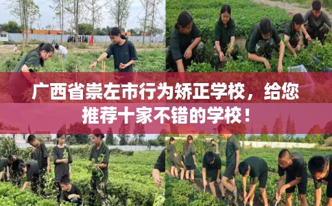 广西省崇左市行为矫正学校，给您推荐十家不错的学校！