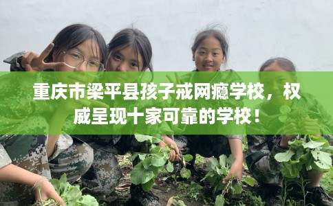重庆市梁平县孩子戒网瘾学校，权威呈现十家可靠的学校！
