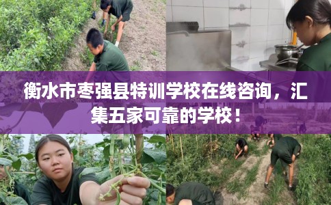 衡水市枣强县特训学校在线咨询,汇集五家可靠的学校! 衡水市枣强县特训学校在线咨询,汇集五家可靠的学校!