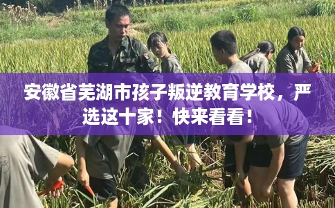 安徽省芜湖市孩子叛逆教育学校，严选这十家！快来看看！