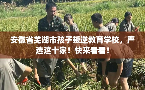 安徽省芜湖市孩子叛逆教育学校，严选这十家！快来看看！