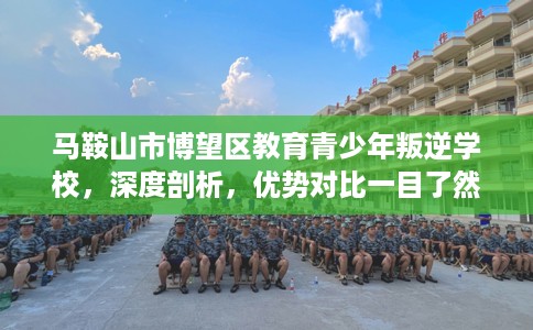 马鞍山市博望区教育青少年叛逆学校,深度剖析,优势对比一目了然! 马鞍山市博望区教育青少年叛逆学校,深度剖析,优势对比一目了然!