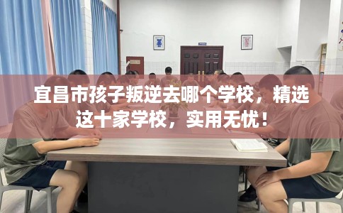 宜昌市孩子叛逆去哪个学校，精选这十家学校，实用无忧！