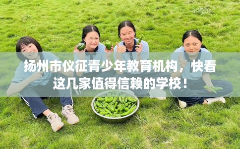 扬州市仪征青少年教育机构，快看这几家值得信赖的学校！