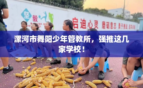 漯河市舞阳少年管教所，强推这几家学校！