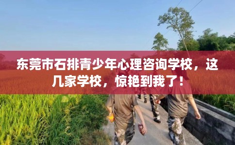东莞市石排青少年心理咨询学校，这几家学校，惊艳到我了！