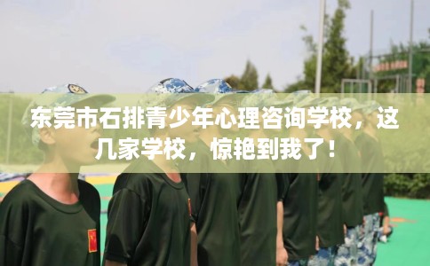 东莞市石排青少年心理咨询学校，这几家学校，惊艳到我了！